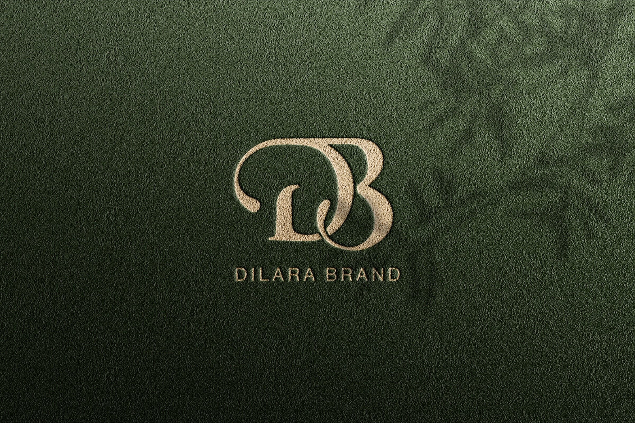 Dilara — Luxury Fashion