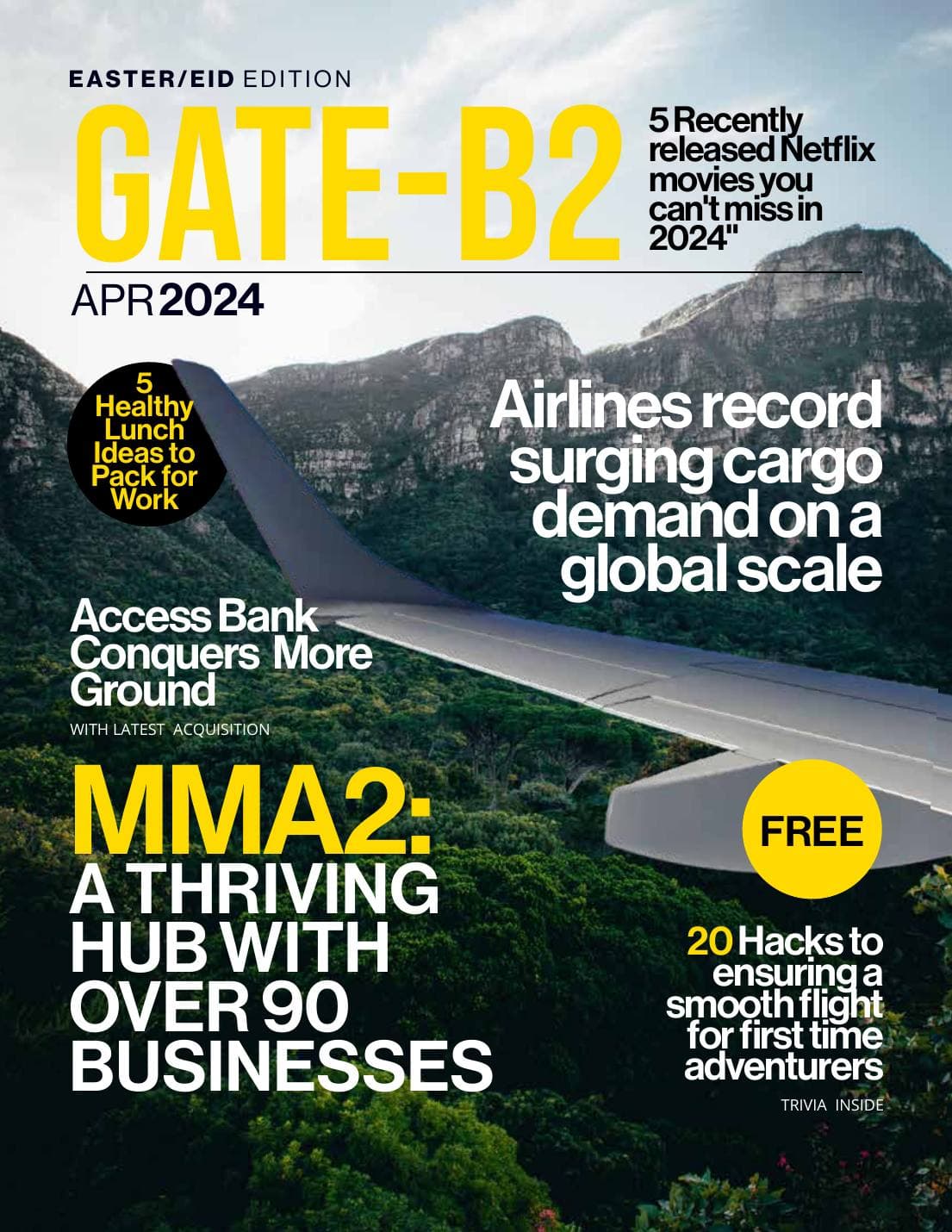 GATE-B2 Magazine — Bi-Courtney Aviation